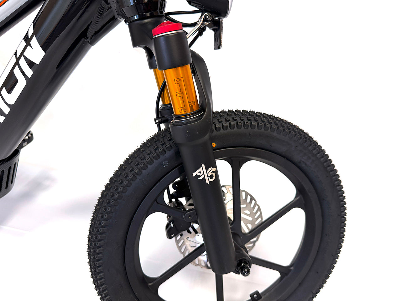 ORION e16x (2025) Electric Balance Bike